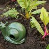 Slug Trap - Image 4
