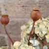3 Small Metal Poppy Seed Heads - Image 8