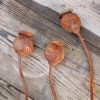 3 Small Metal Poppy Seed Heads - Image 7