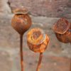 3 Small Metal Poppy Seed Heads - Image 5