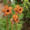 Set of 3 Metal Daffodil's