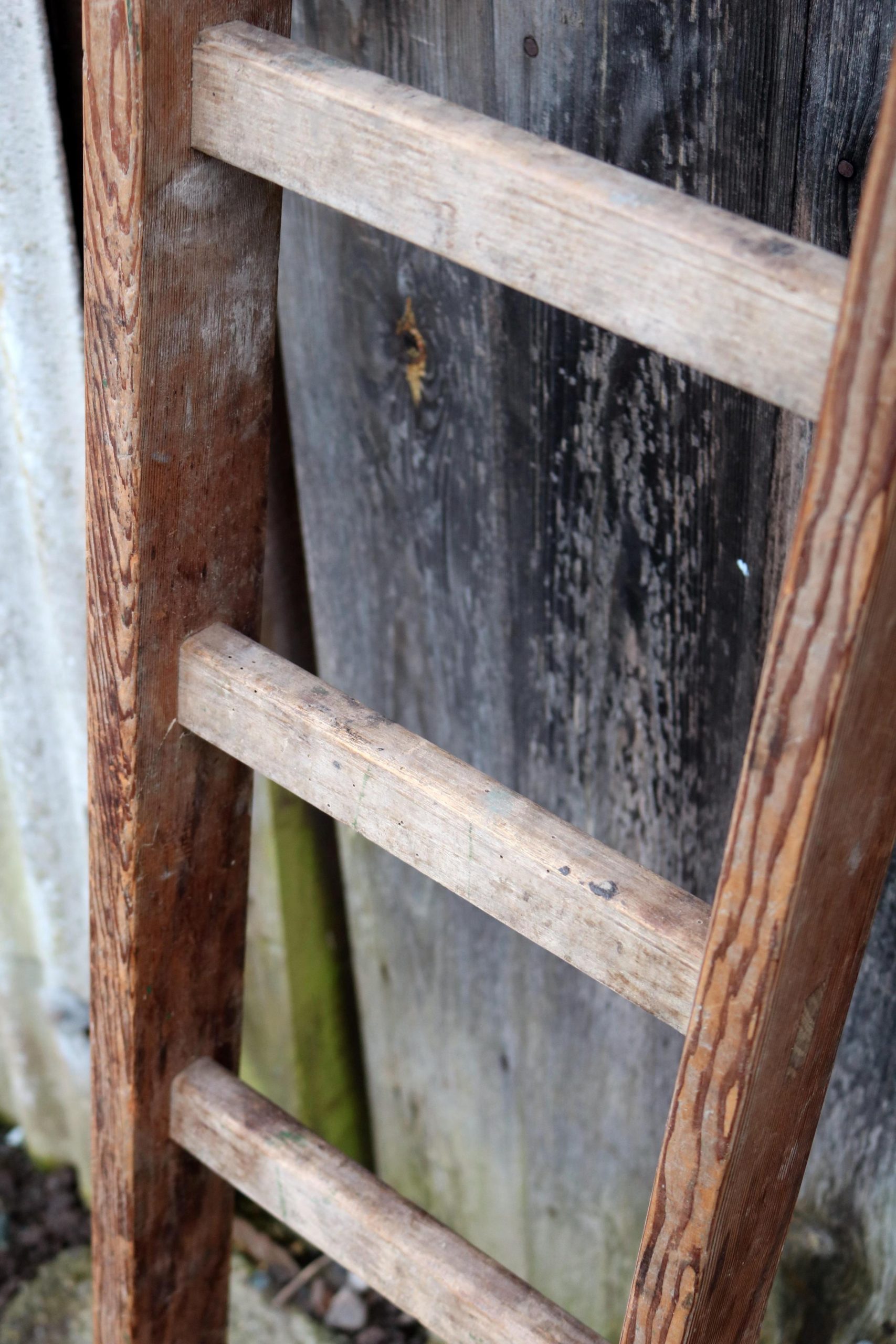 Wooden Ladder 4 Orchard Garden Antiques   IMG 8783 Scaled 