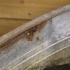 Straight Edge Tub #16 - Image 6