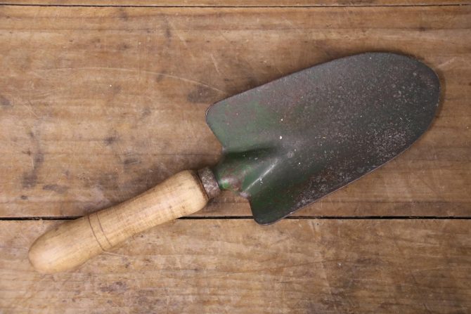 Vintage Trowel #8